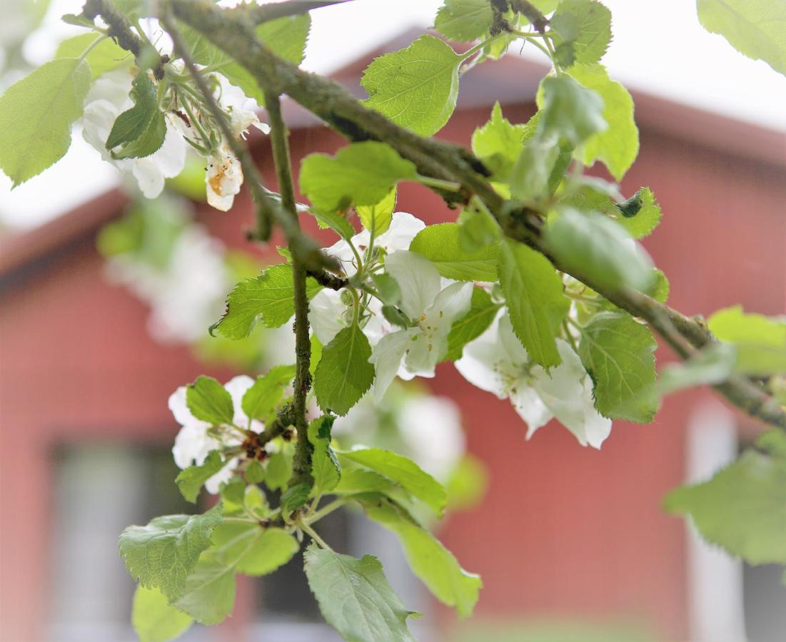 Villa Maria Garden Cottages, 헬싱보리 외부 사진